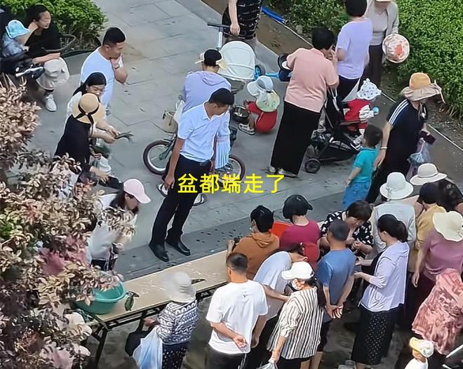 大妈连盆都端走了还围堵物业要鸡蛋开元棋牌山东：小区端午免费包粽子(图5)
