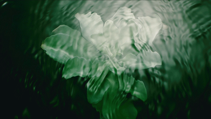 思黎全能乳送菁纯眼霜5ml!入冬速囤开元棋牌网站终于蹲到了!299元抢希(图17) 思黎全能乳送菁纯眼霜5ml!入冬速囤开元棋牌网站终于蹲到了!299元抢希(图17)